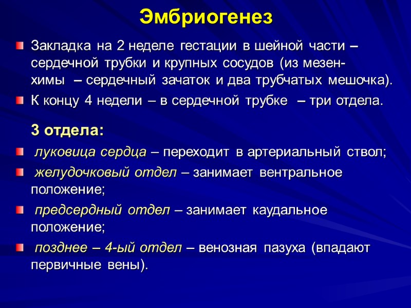 Эмбриогенез Закладка на 2 неделе гестации в шейной части – сердечной трубки и крупных